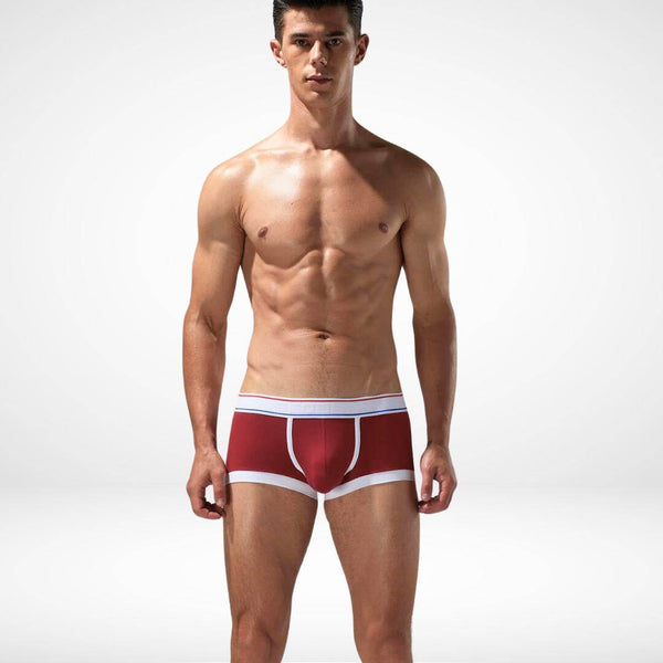 Breathable Cotton Stretch Boxer Briefs - CrownJewel.co