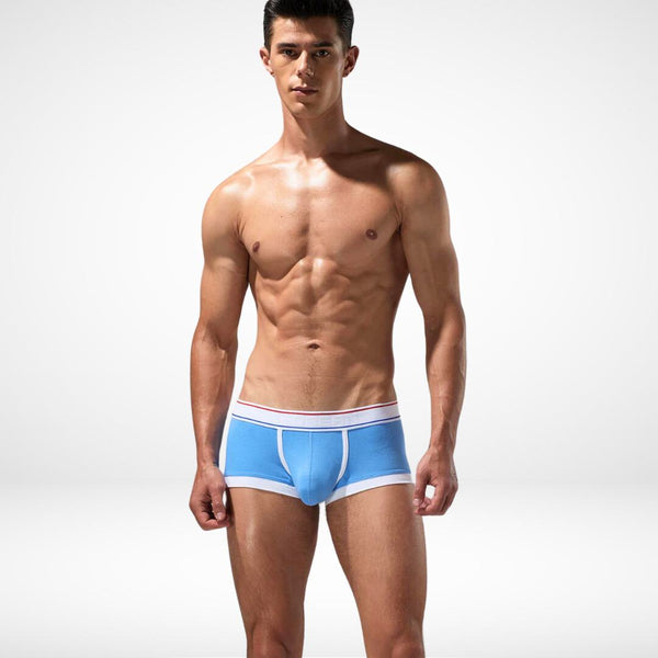 Breathable Cotton Stretch Boxer Briefs - CrownJewel.co