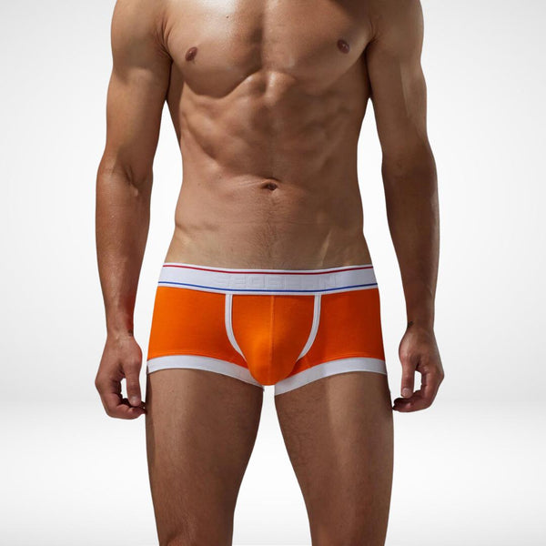 Breathable Cotton Stretch Boxer Briefs - CrownJewel.co