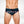 Flamingo Print Swim Briefs - CrownJewel.co