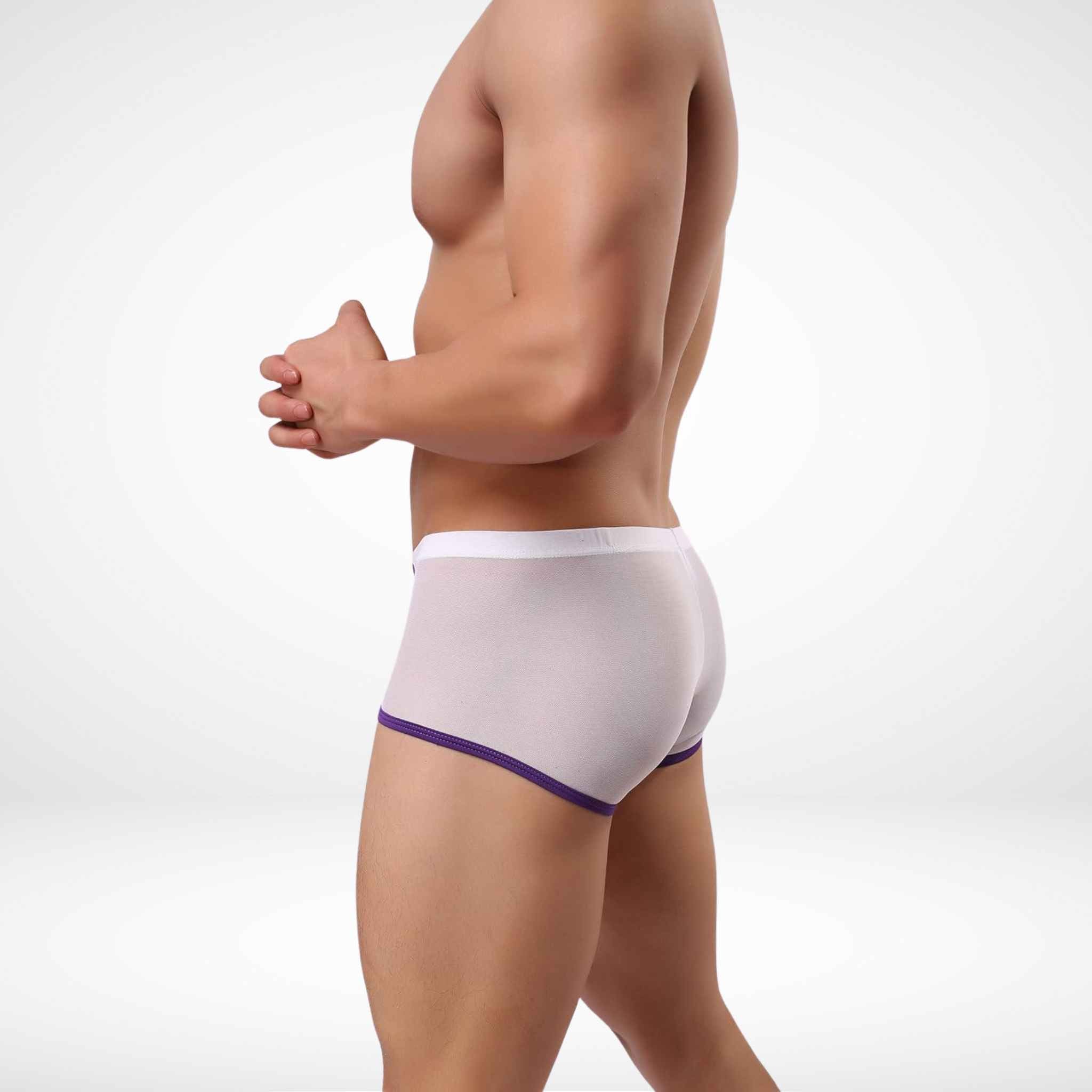 JJSOX Mesh See Through Boxer Briefs - White