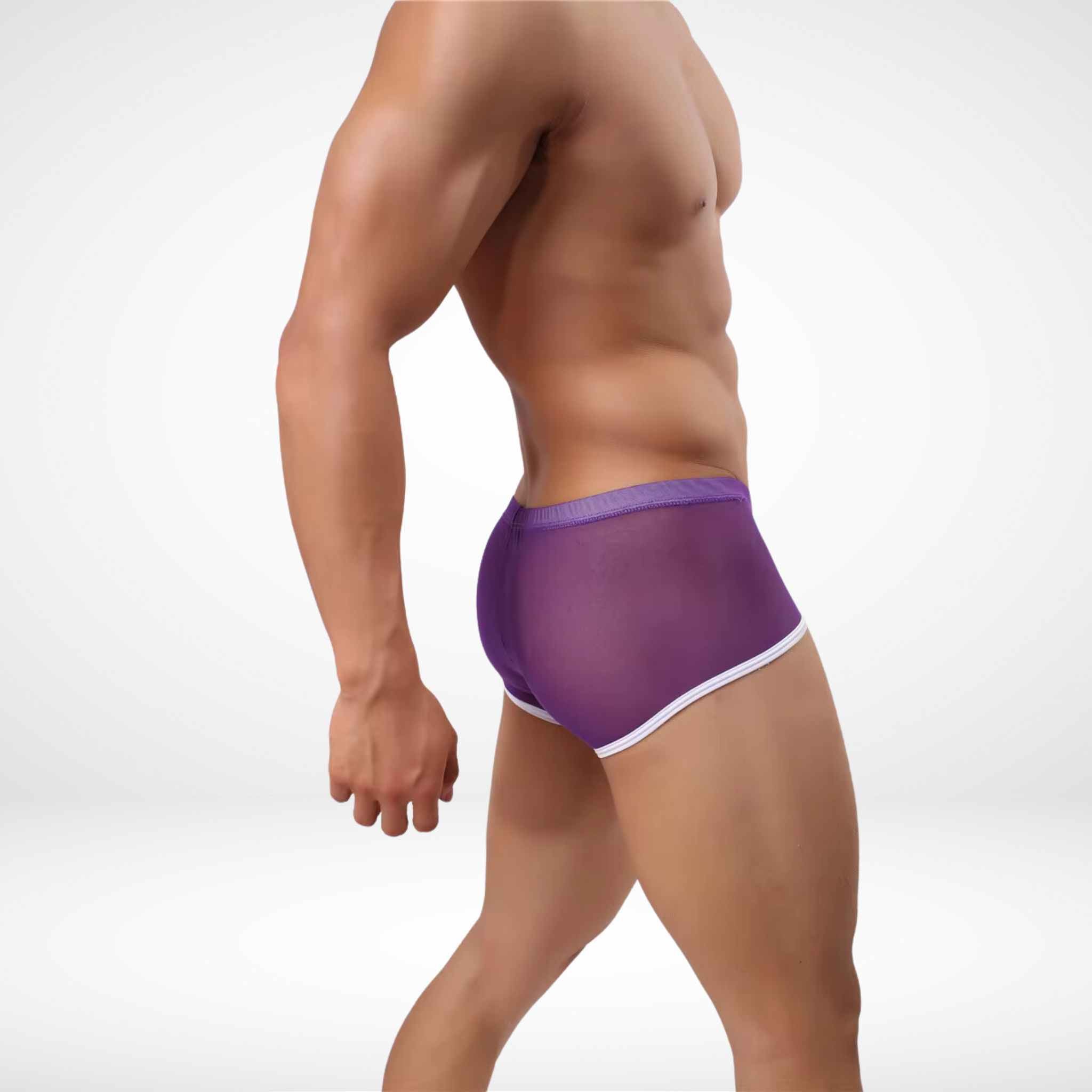 JJSOX Mesh See Through Boxer Briefs - Purple