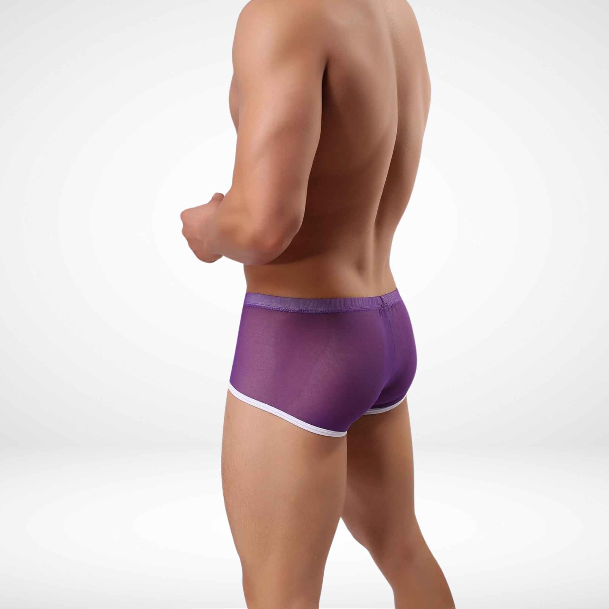 JJSOX Mesh See Through Boxer Briefs - Purple