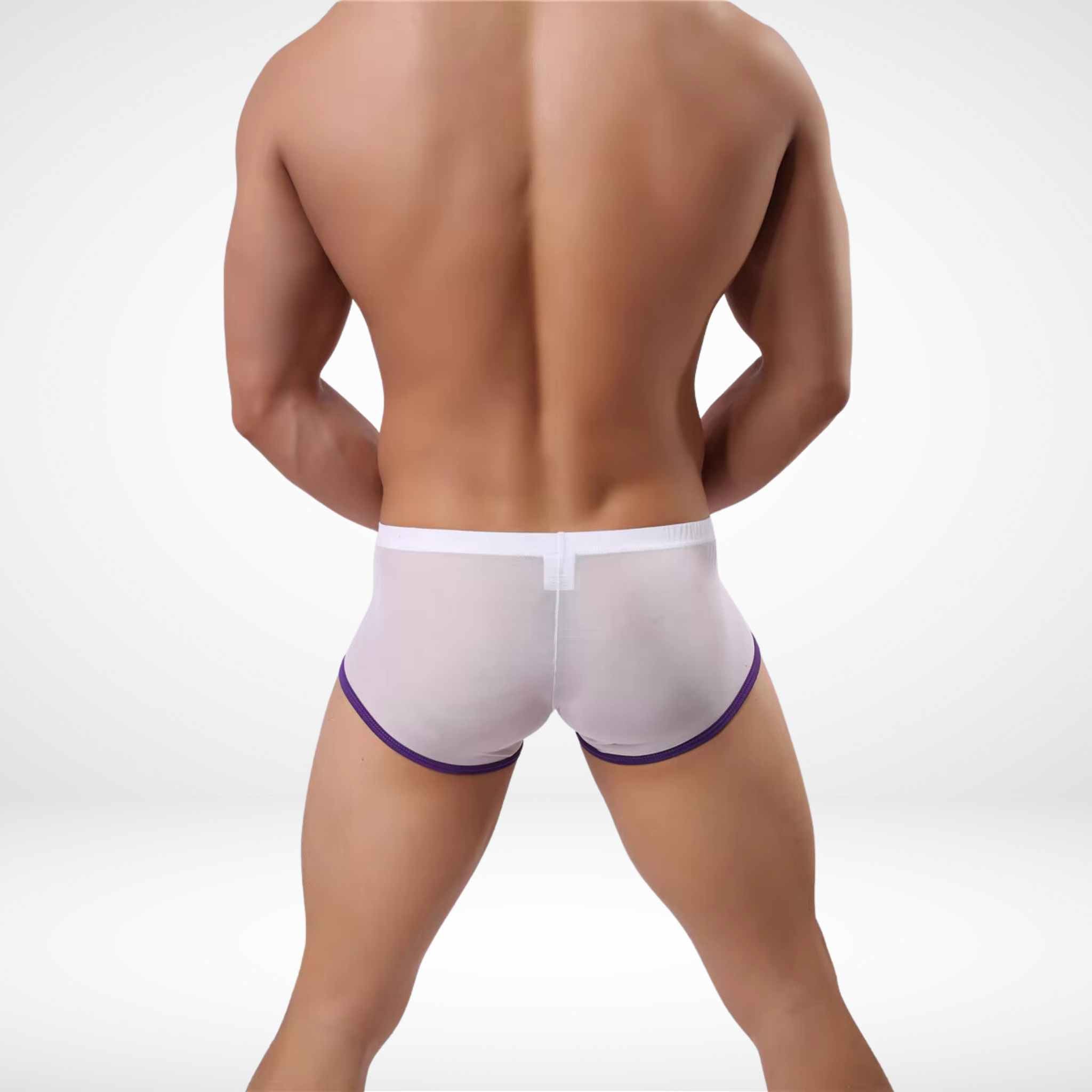 JJSOX Mesh See Through Boxer Briefs - White