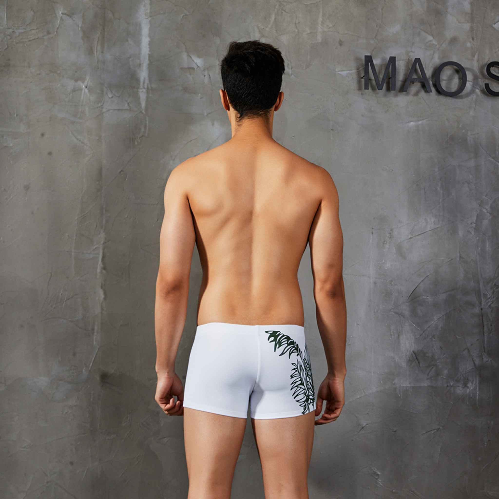 Queen Palm Swim Brief Trunks - CrownJewel.co