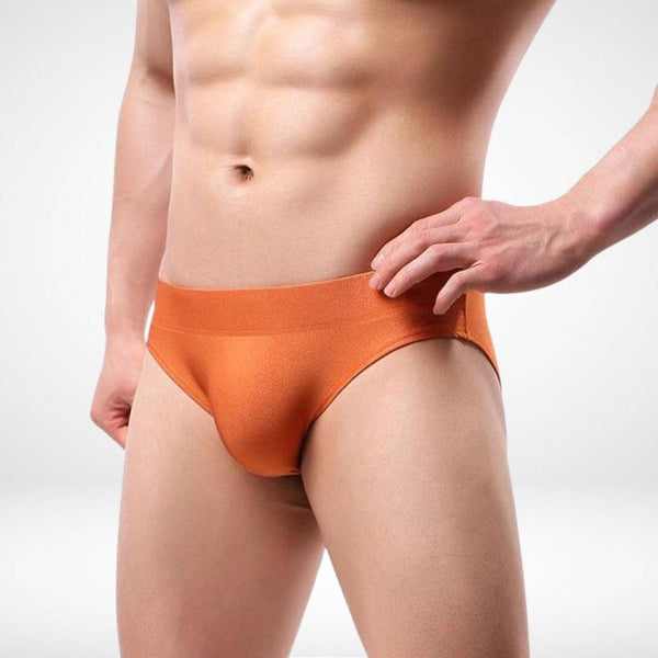 Seamless Ultra - Soft Solid Color Briefs - CrownJewel.co