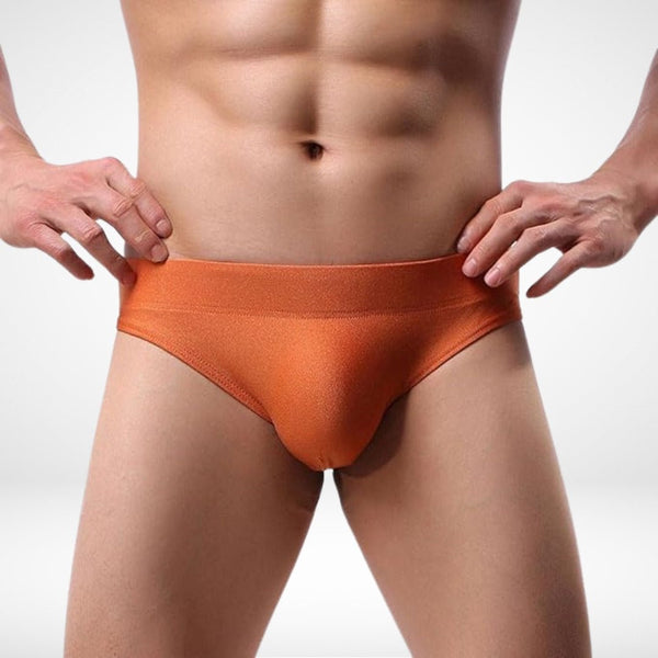 Seamless Ultra - Soft Solid Color Briefs - CrownJewel.co