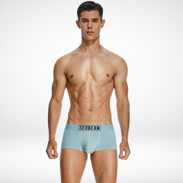 SeoBean Soft Breathable Cotton Boxer Briefs - CrownJewel.co