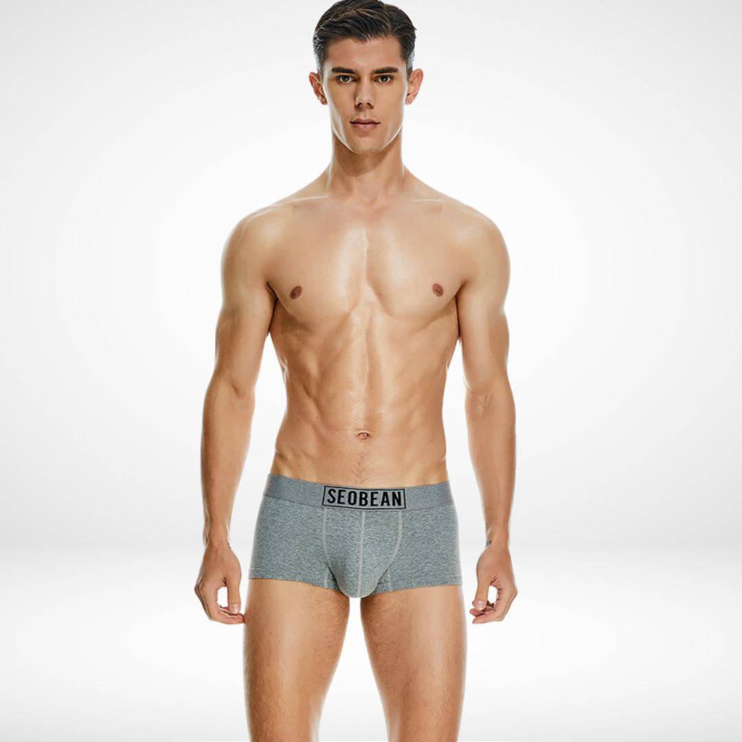 Front view of SeoBean soft breathable cotton men's boxer briefs in heather gray, offering a snug fit and soft stretch fabric.