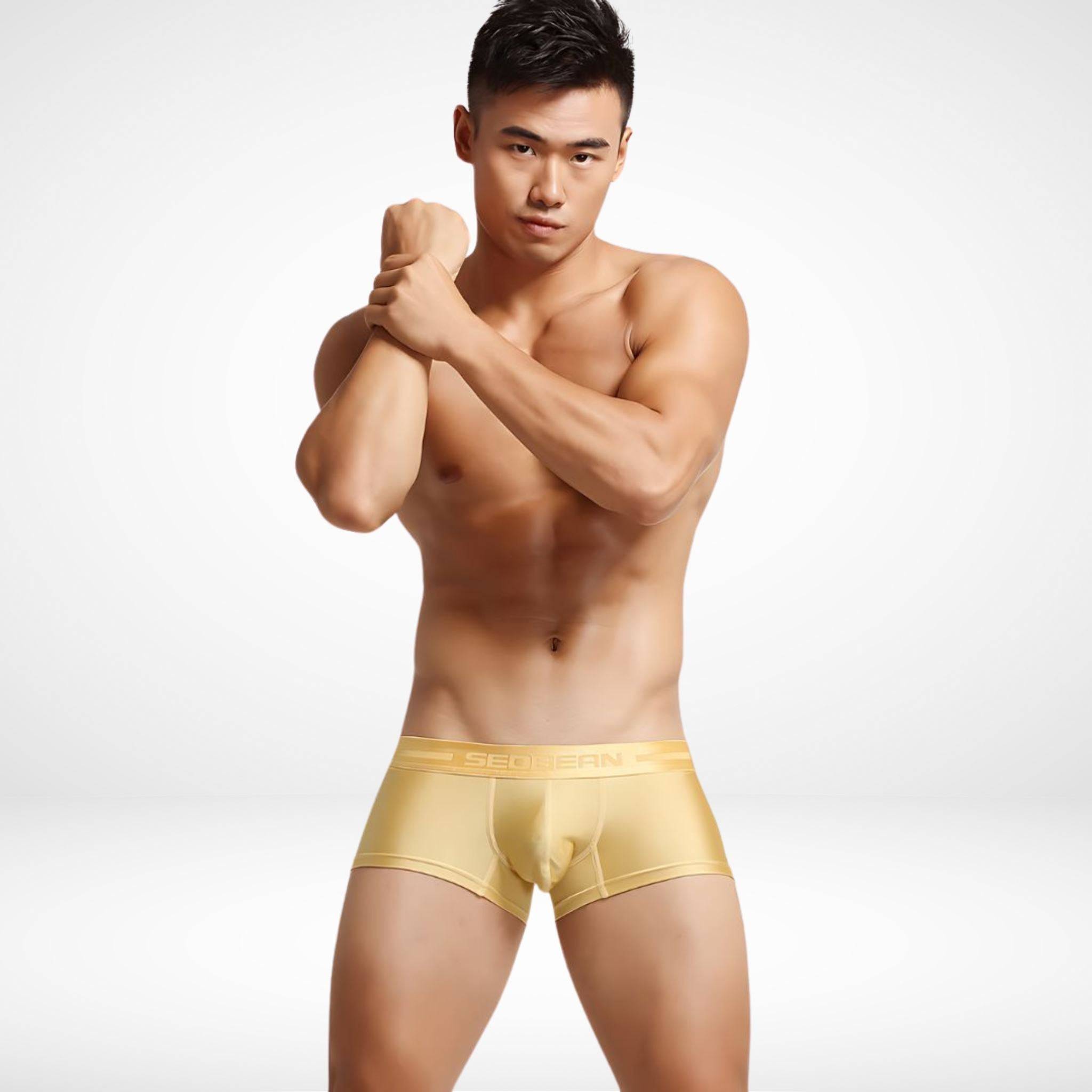 SeoBean Stretch Boxer Briefs - CrownJewel.co