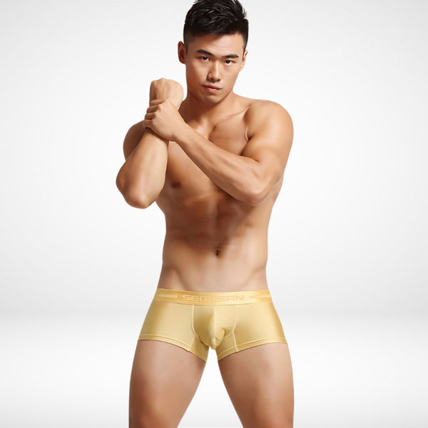 SeoBean Stretch Boxer Briefs - CrownJewel.co