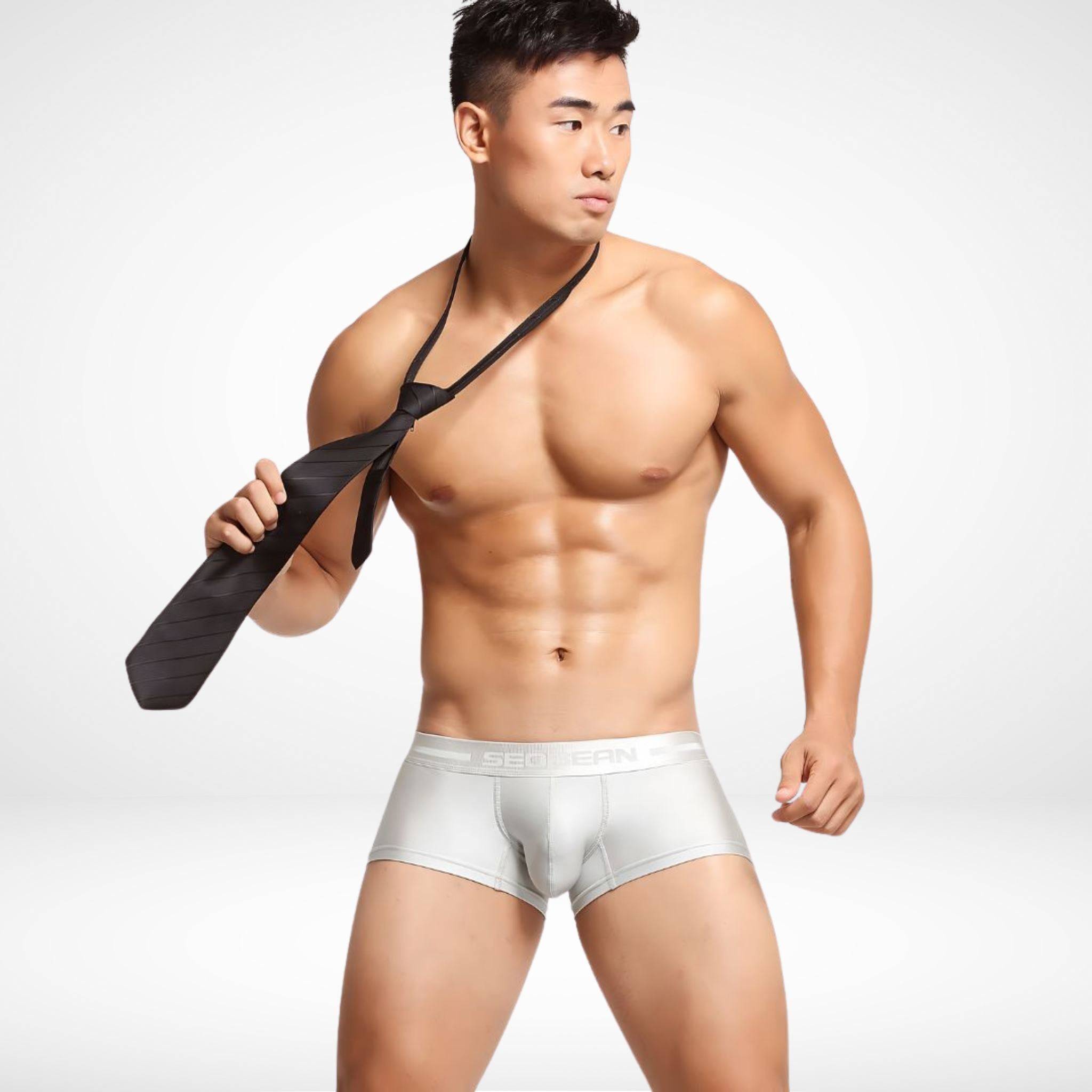 SeoBean Stretch Boxer Briefs - CrownJewel.co