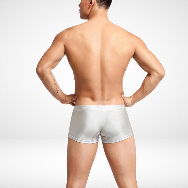 SeoBean Stretch Boxer Briefs - CrownJewel.co