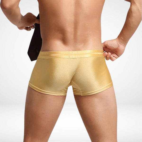 SeoBean Stretch Boxer Briefs - CrownJewel.co