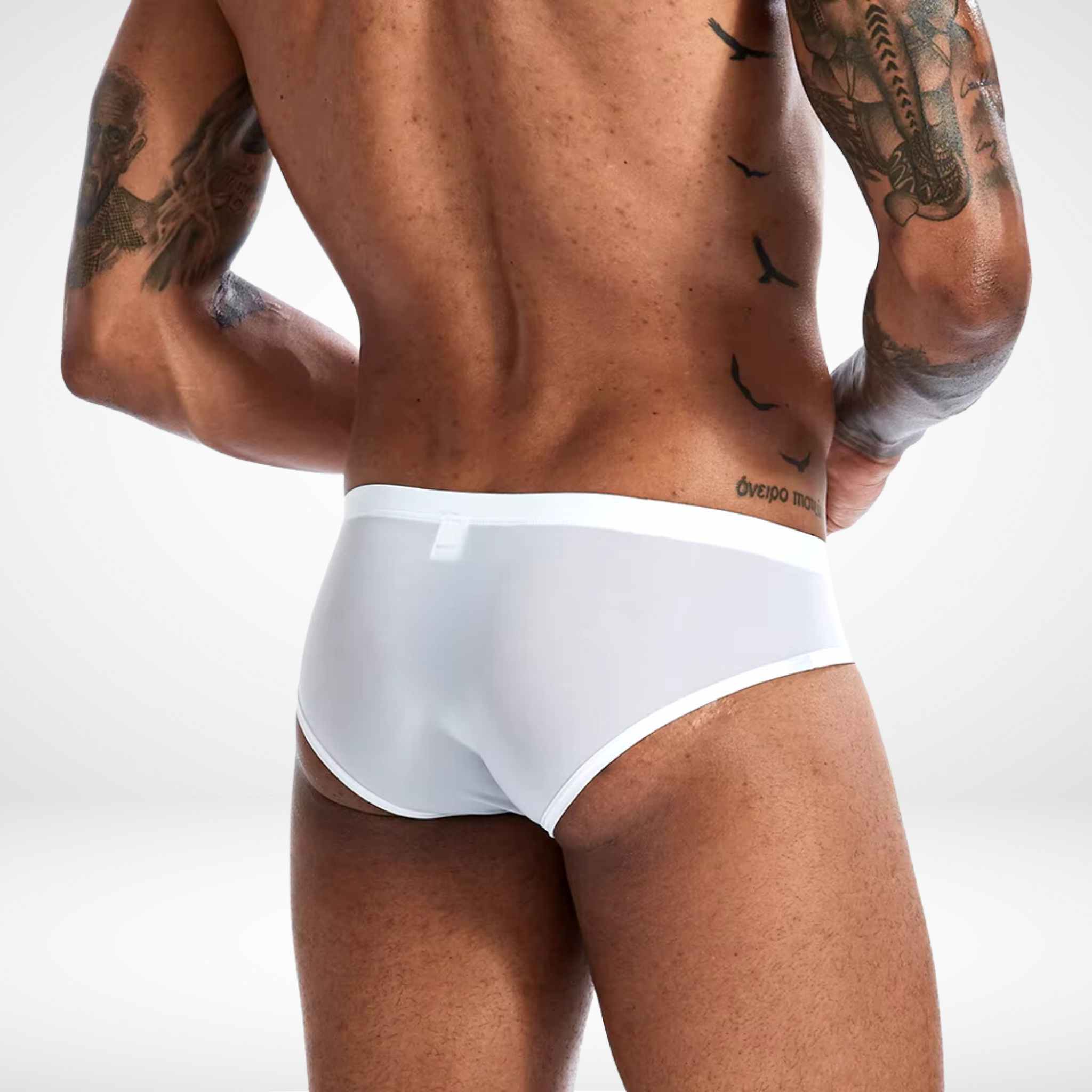 Sheer Bulge Pouch Briefs - White