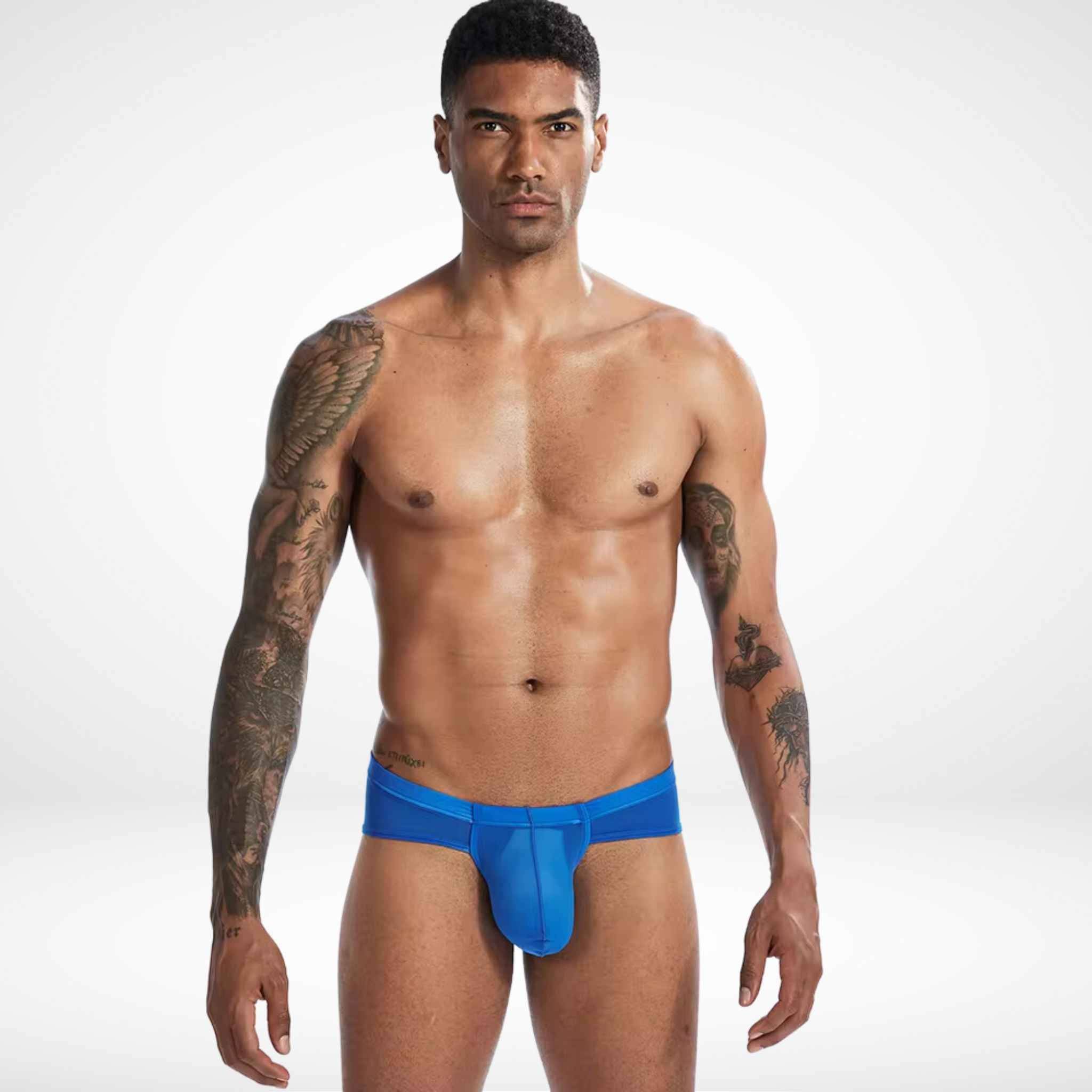 Sheer Bulge Pouch Briefs - Blue