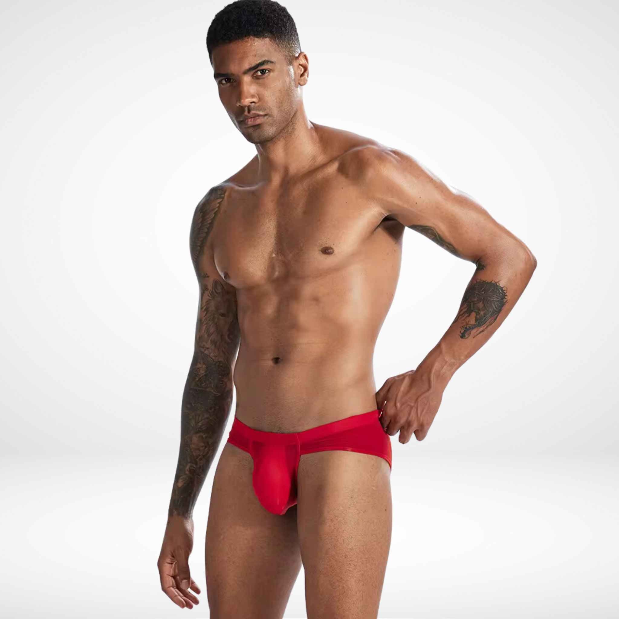 Sheer Bulge Pouch Briefs - Red