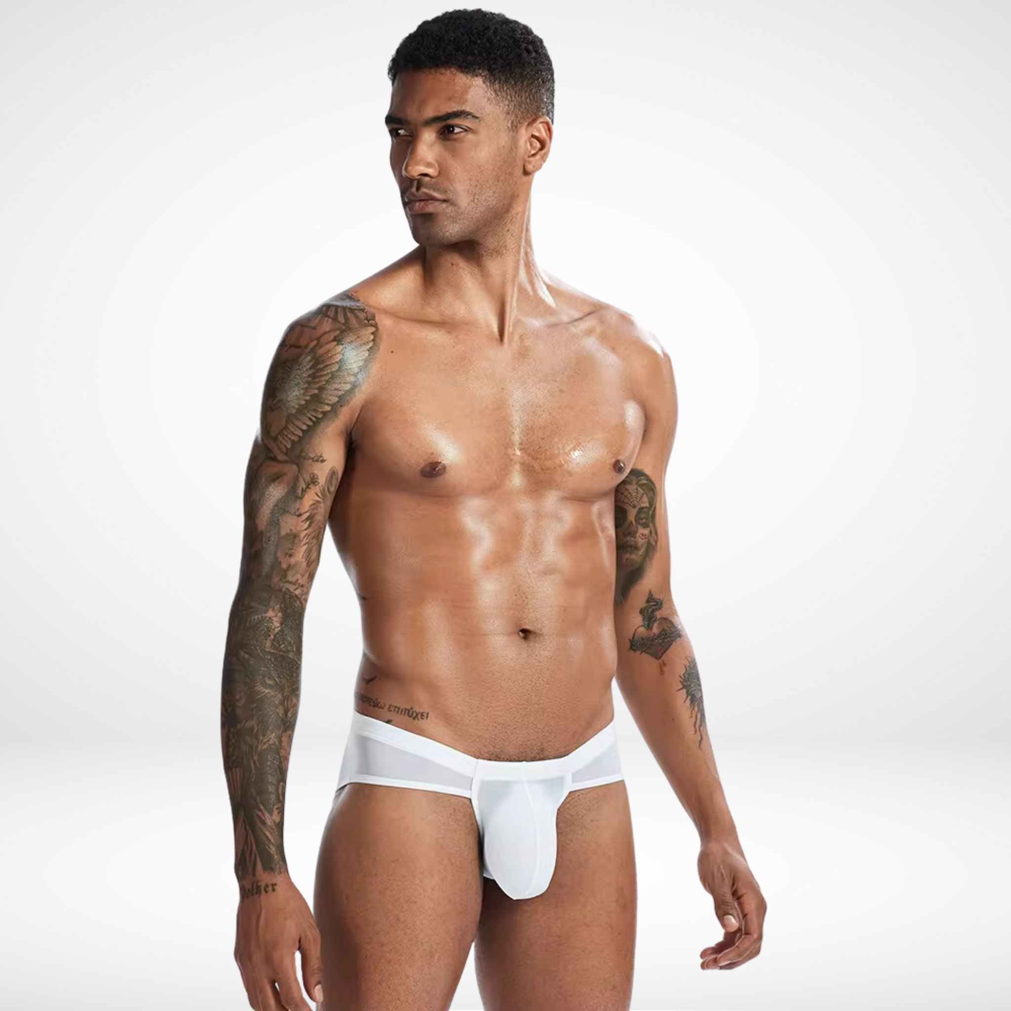 Sheer Bulge Pouch Briefs - White