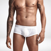 Transparent Ice Silk Boxer Briefs - CrownJewel.co