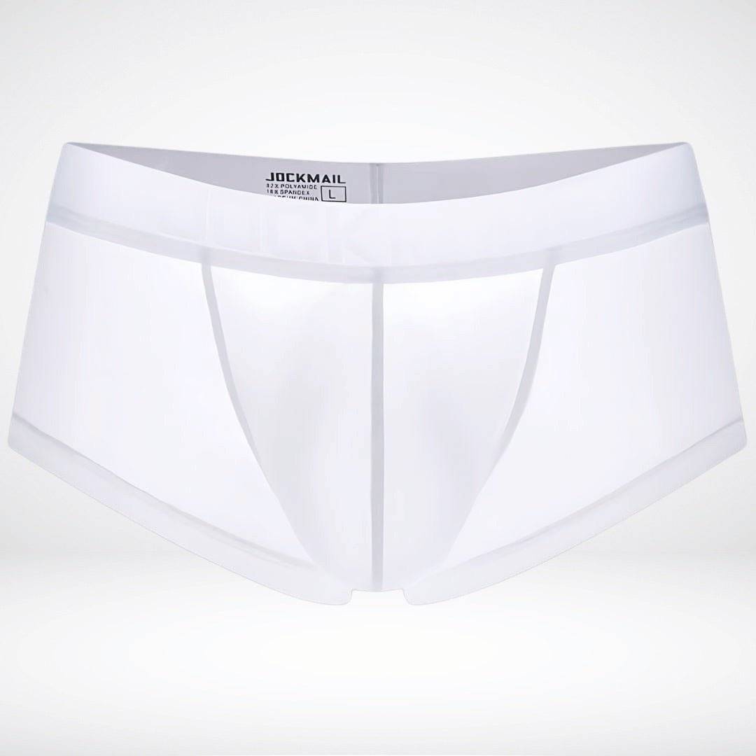 Transparent Ice Silk Boxer Briefs - CrownJewel.co