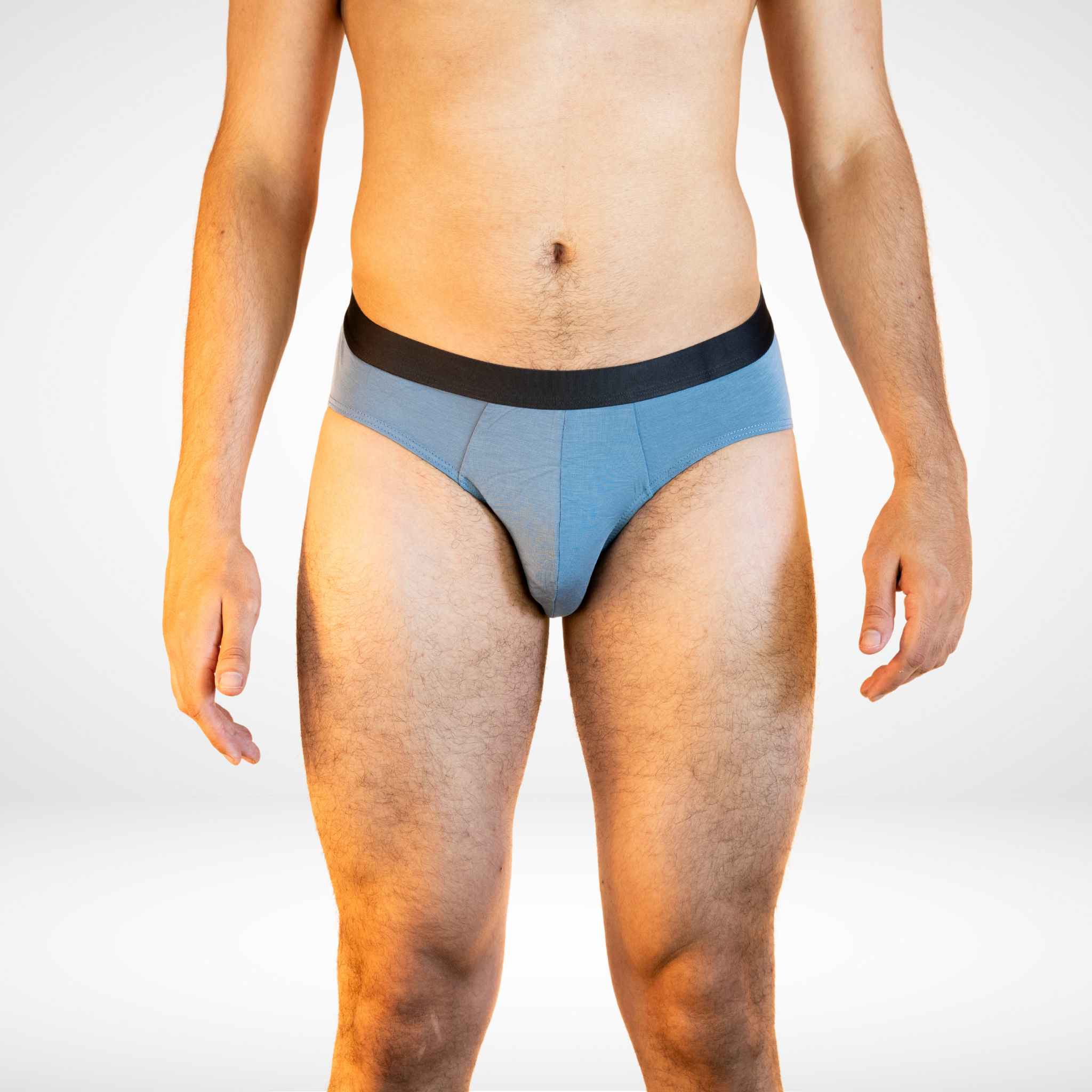 Ultra - Soft Modal Comfort Fit Briefs - CrownJewel.co