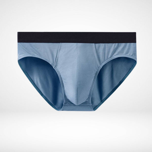 Ultra - Soft Modal Comfort Fit Briefs - CrownJewel.co