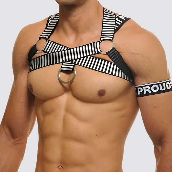 Wear It Proud! Cross Chest Harness & V Cut Matching Briefs - CrownJewel.co