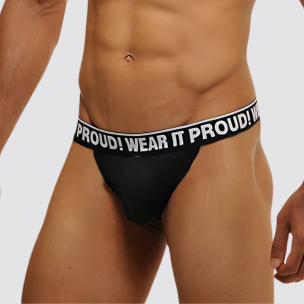 Wear It Proud! Cross Chest Harness & V Cut Matching Briefs - CrownJewel.co