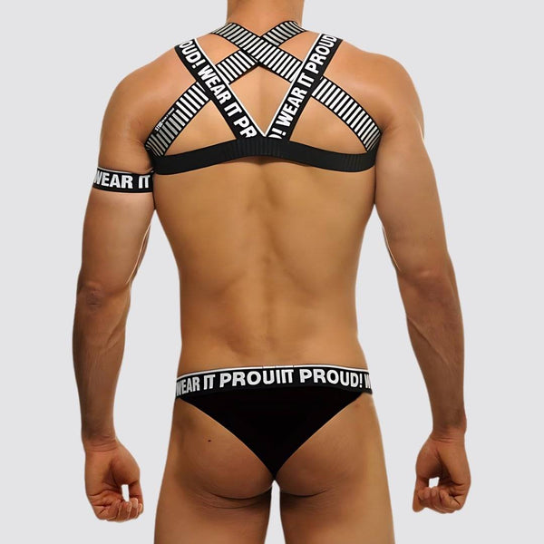 Wear It Proud! Cross Chest Harness & V Cut Matching Briefs - CrownJewel.co